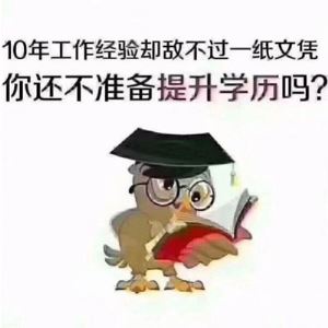 中秋节活动策划书计划Word模板下载